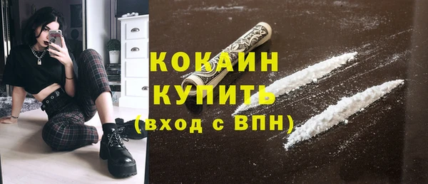 дживик Абаза