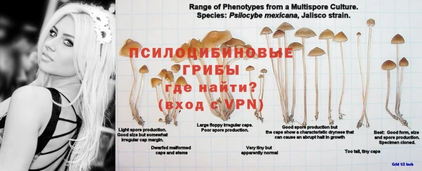 соль курить ск Абдулино