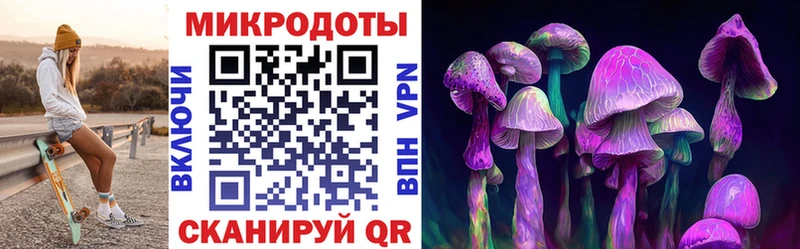 Галлюциногенные грибы Psilocybine cubensis  купить   Усть-Катав 